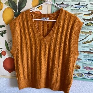 Cupcakes and Cashmere size medium soft knit sweater vest